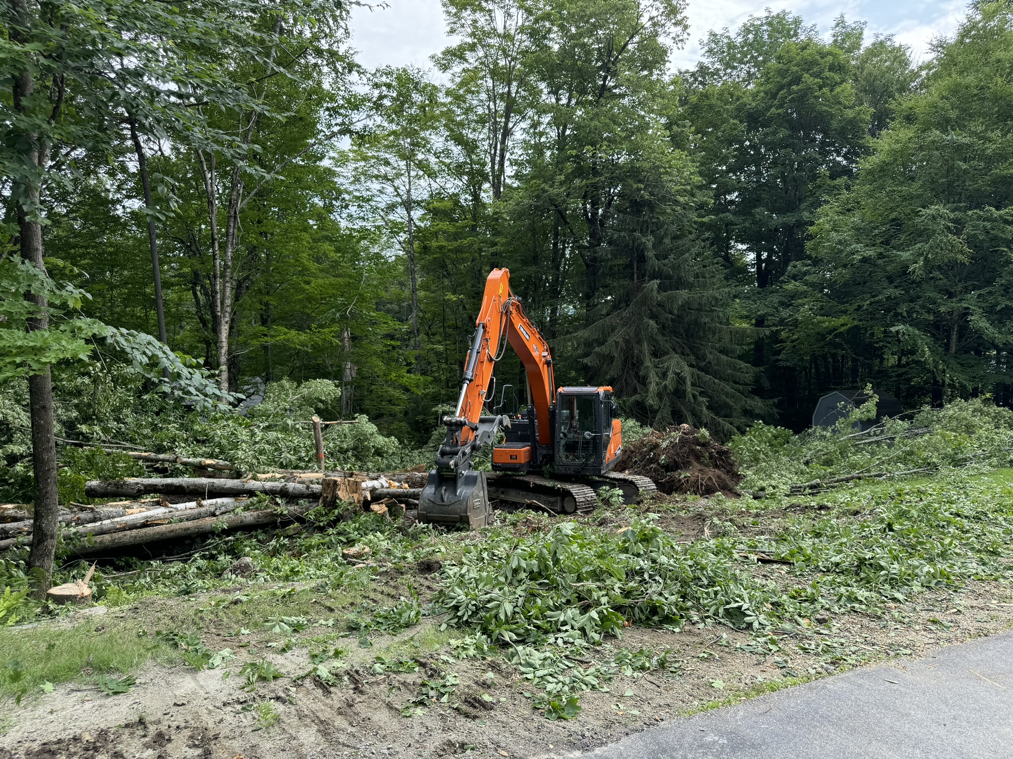 ground clearing (4)